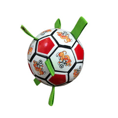 Dog Football Bite-Resistant Toy