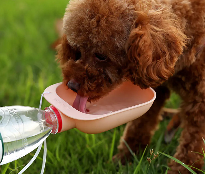 Outdoor Pet Water Bowl