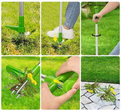 Weed Remover Tool
