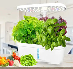 Hydroponic Planting Machine
